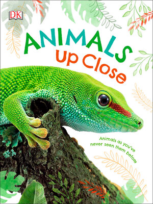 cover image of Animals Up Close
